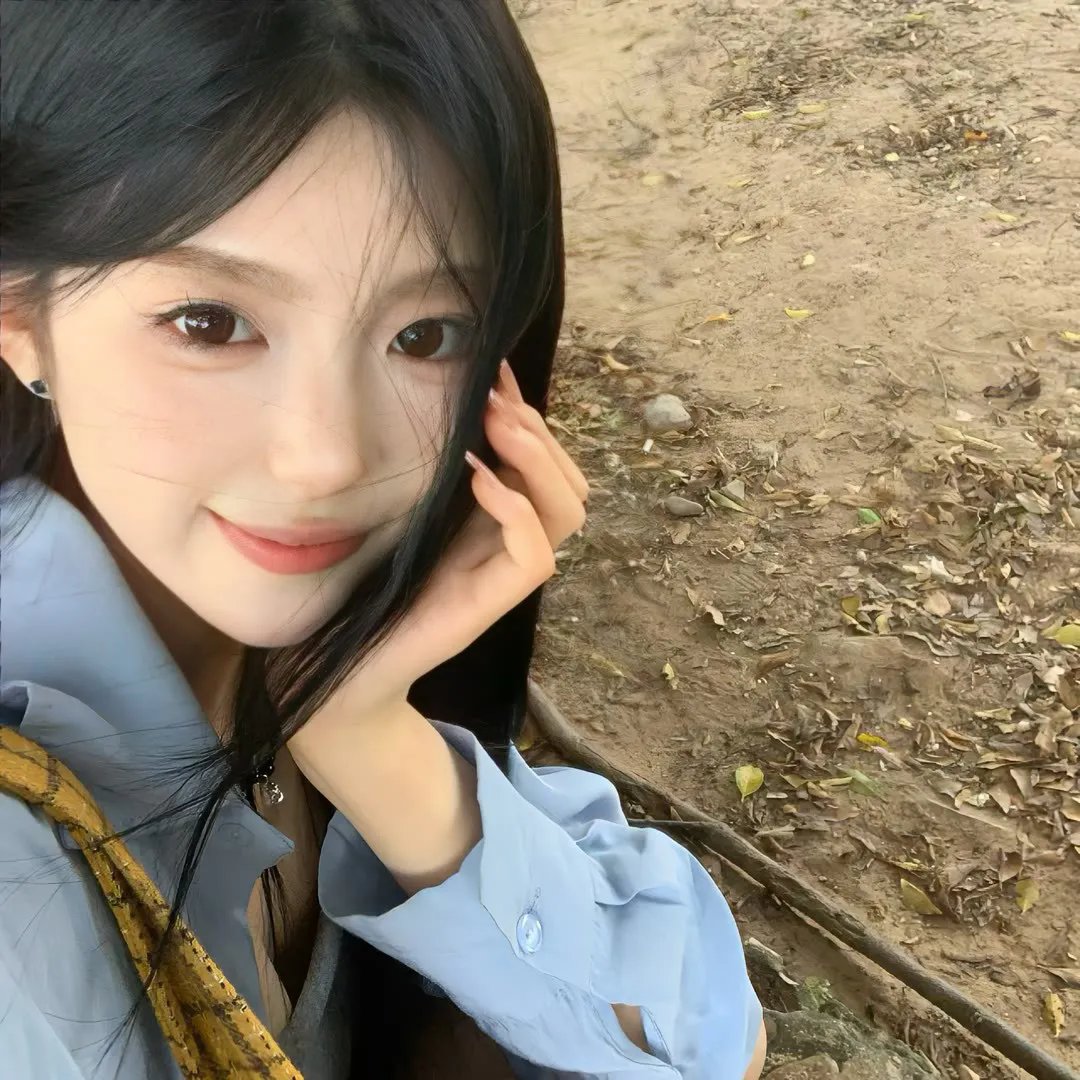 妙探双龙