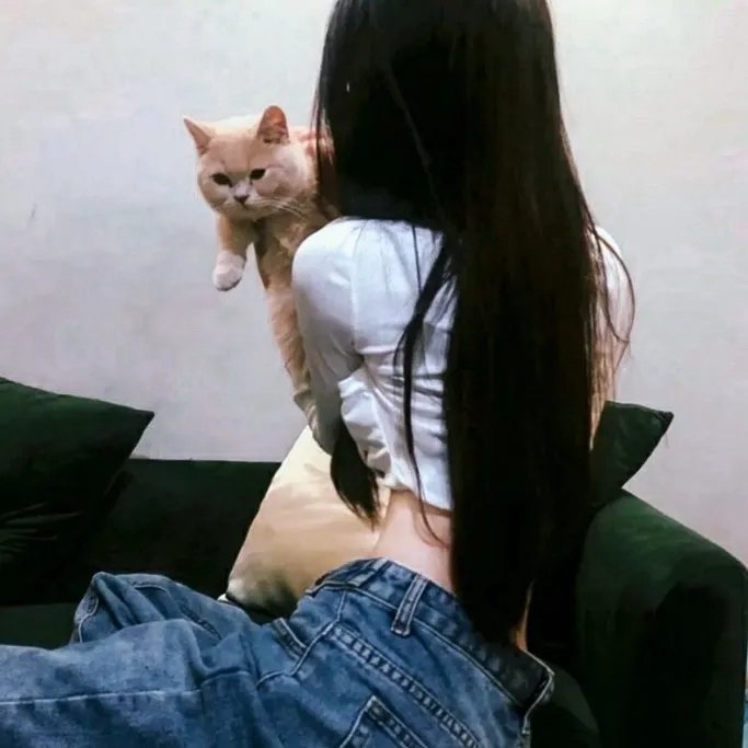 智多星妙计歼仇